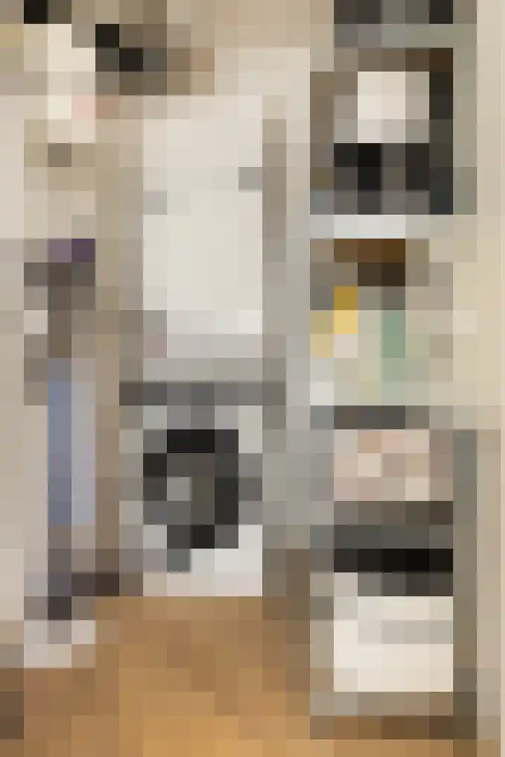 Sumatrastraat 207 N Amsterdam thumbnail 25