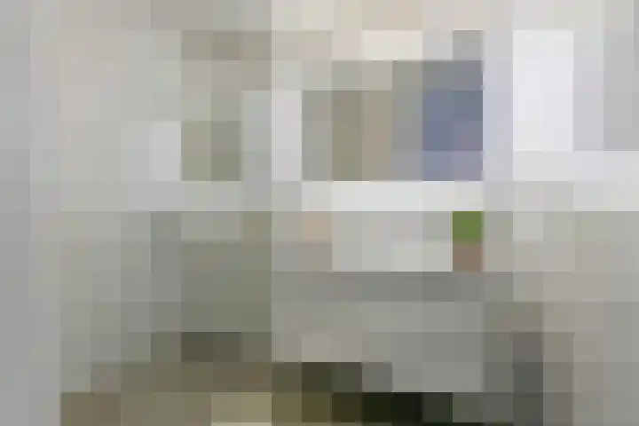 Sumatrastraat 209 H Amsterdam thumbnail 22
