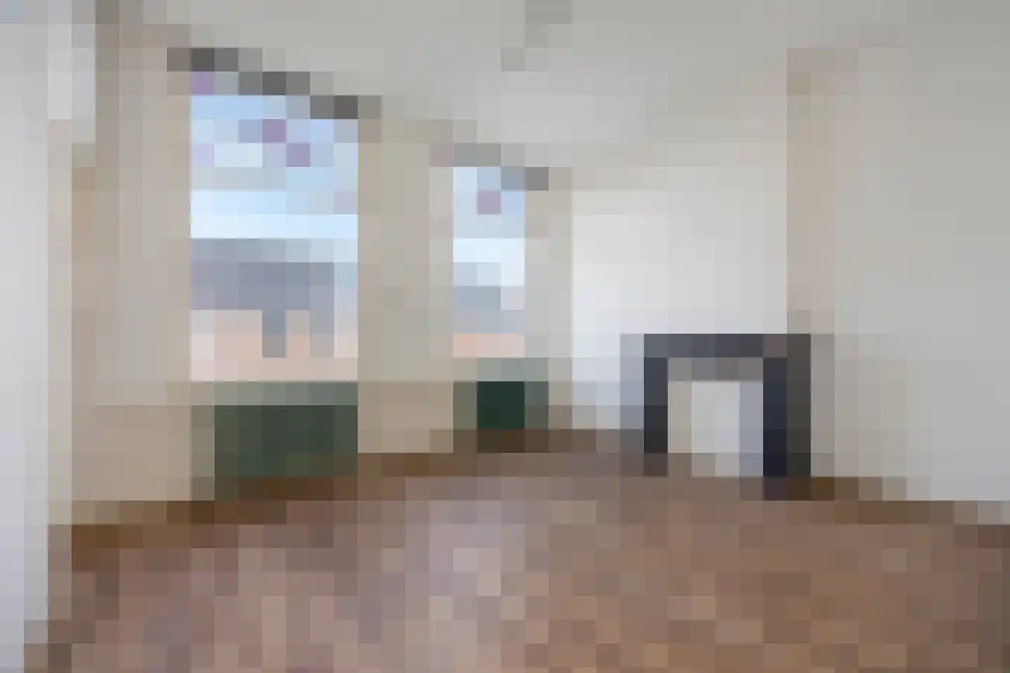 Sumatrastraat 223 Den Haag thumbnail 24