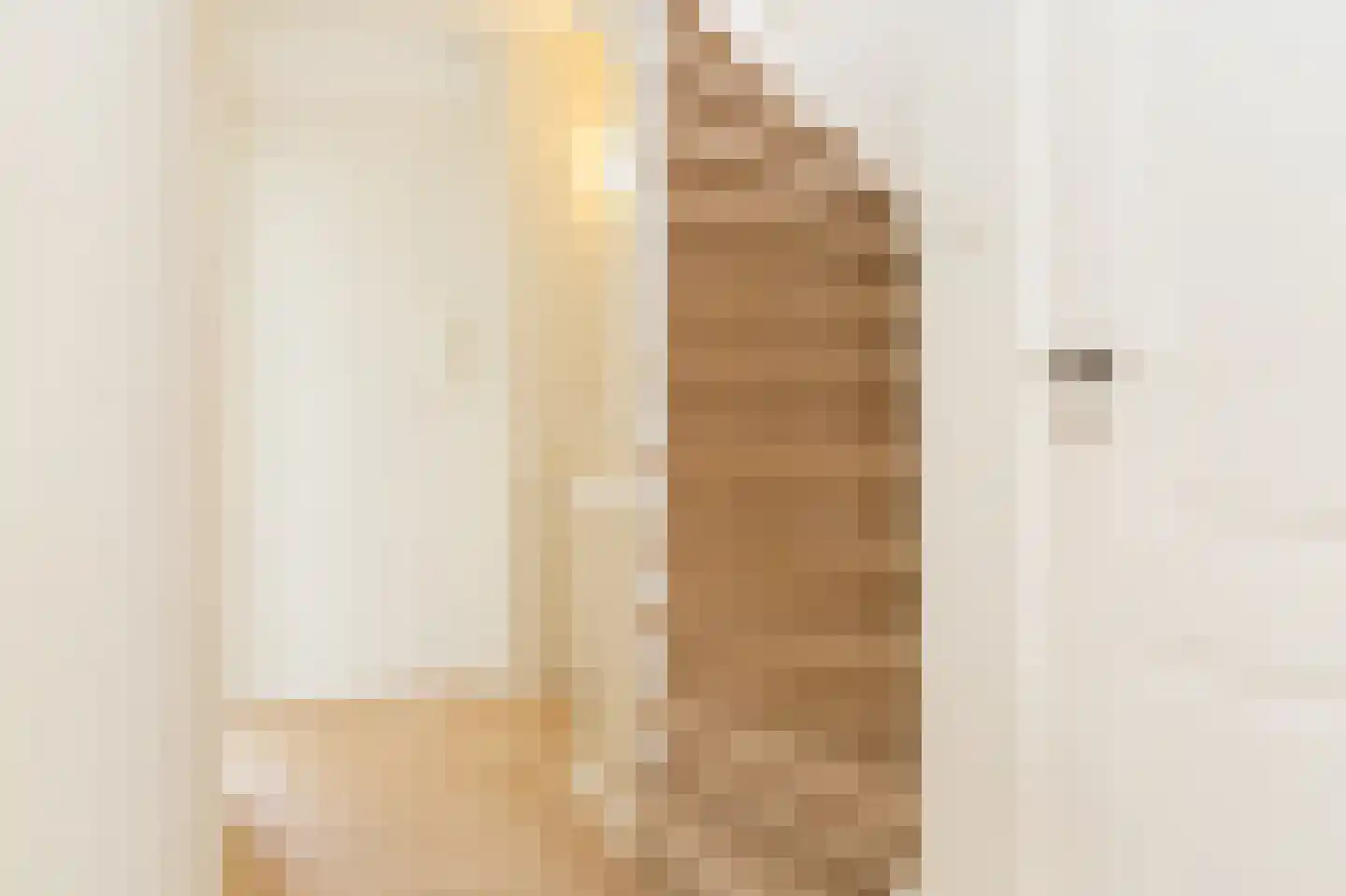 Sumatrastraat 228 Den Haag thumbnail 43