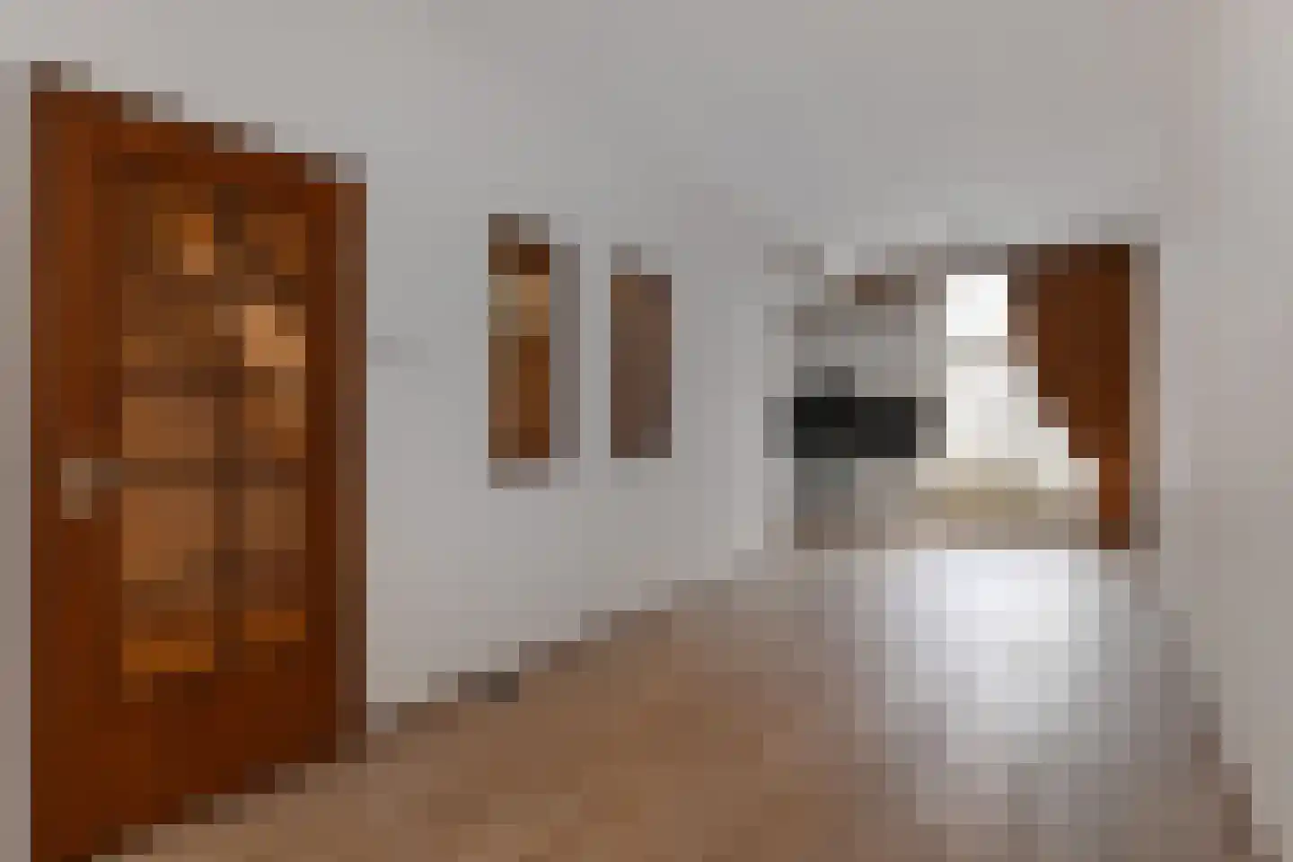 Sumatrastraat 24 Den Haag thumbnail 11
