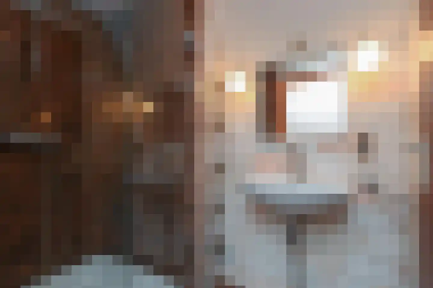 Sumatrastraat 24 Den Haag thumbnail 23