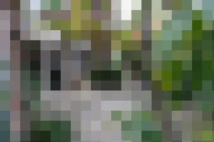 Sumatrastraat 24 Leeuwarden thumbnail 22