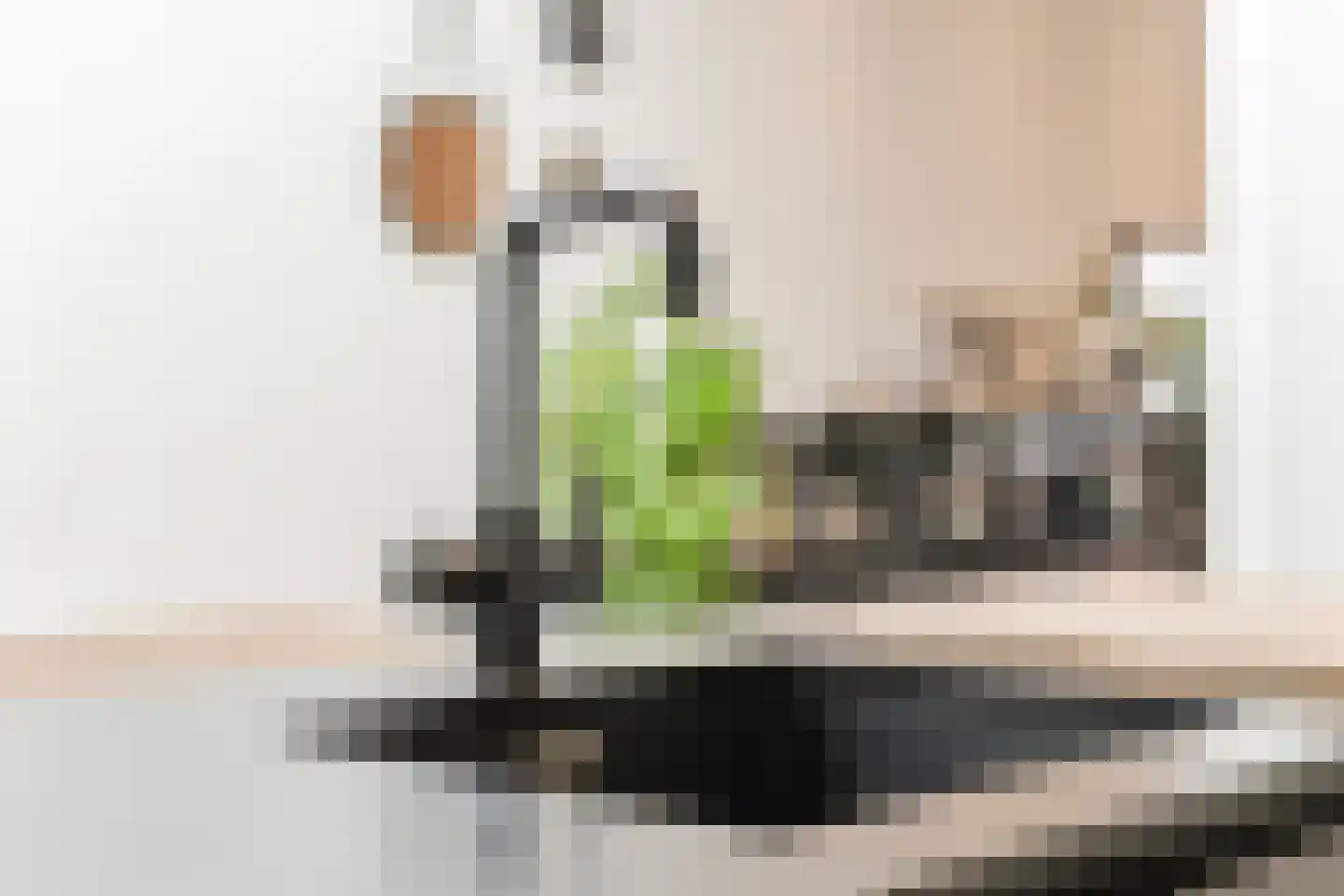Sumatrastraat 24 Tilburg thumbnail 11