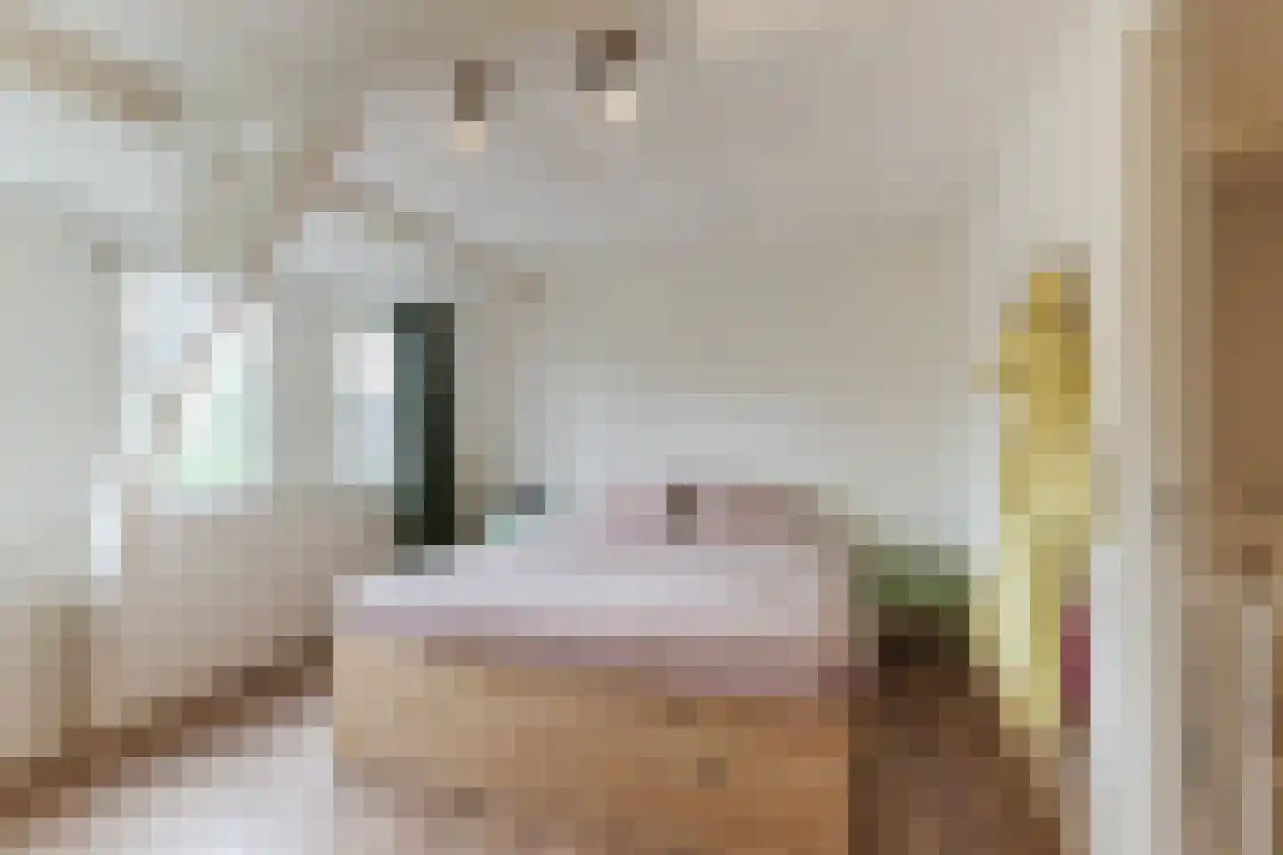 Sumatrastraat 24 Tilburg thumbnail 23
