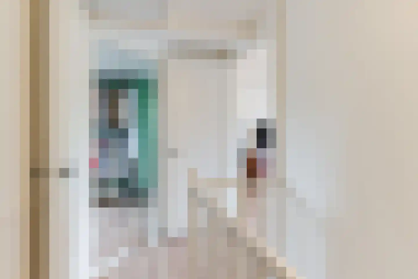 Sumatrastraat 24 Tilburg thumbnail 29