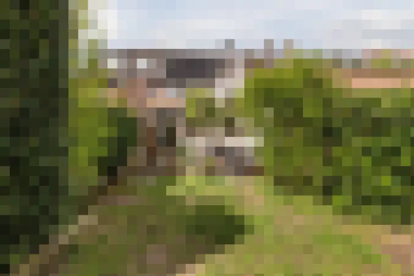 Sumatrastraat 24 Tilburg thumbnail 30
