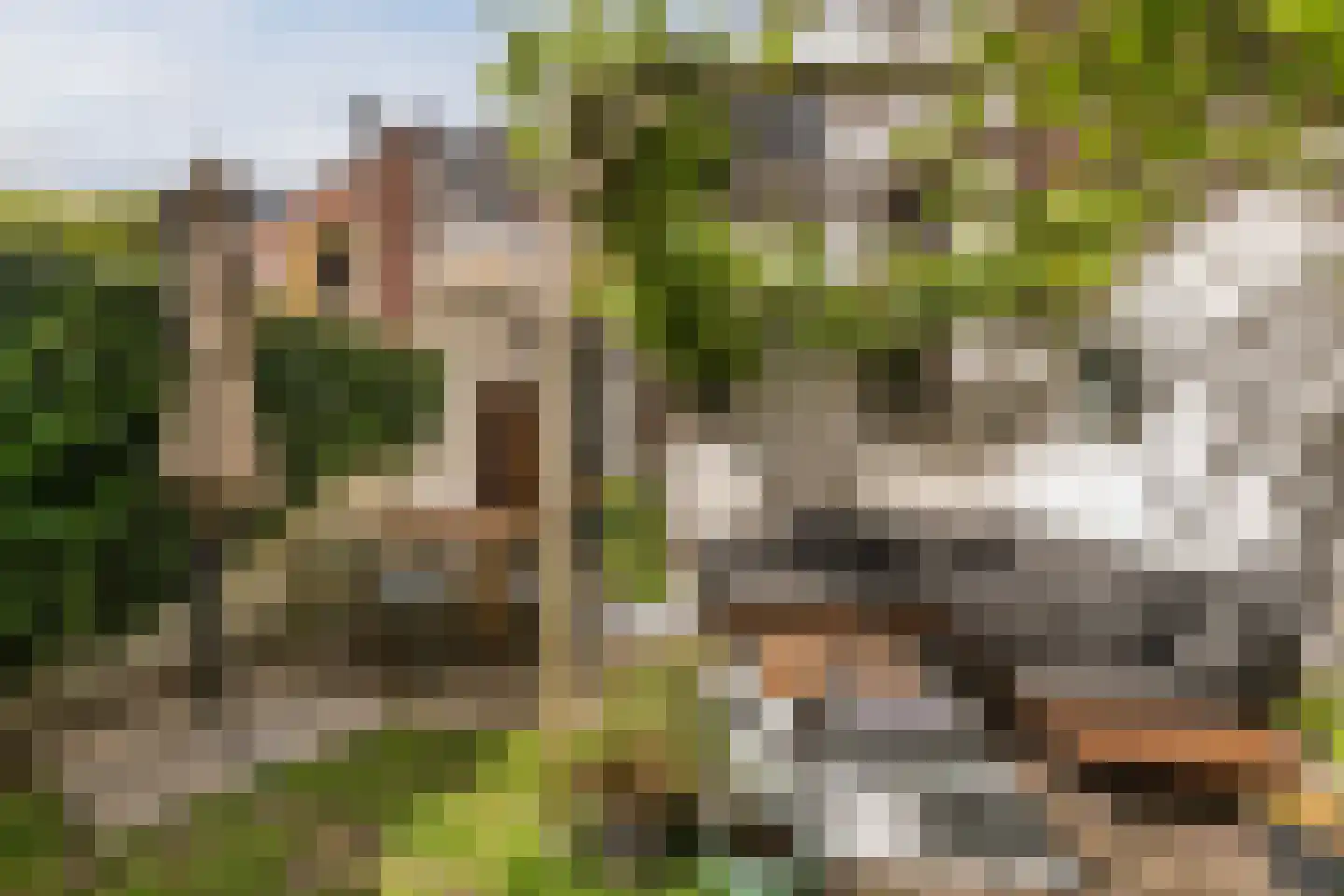 Sumatrastraat 24 Tilburg thumbnail 31