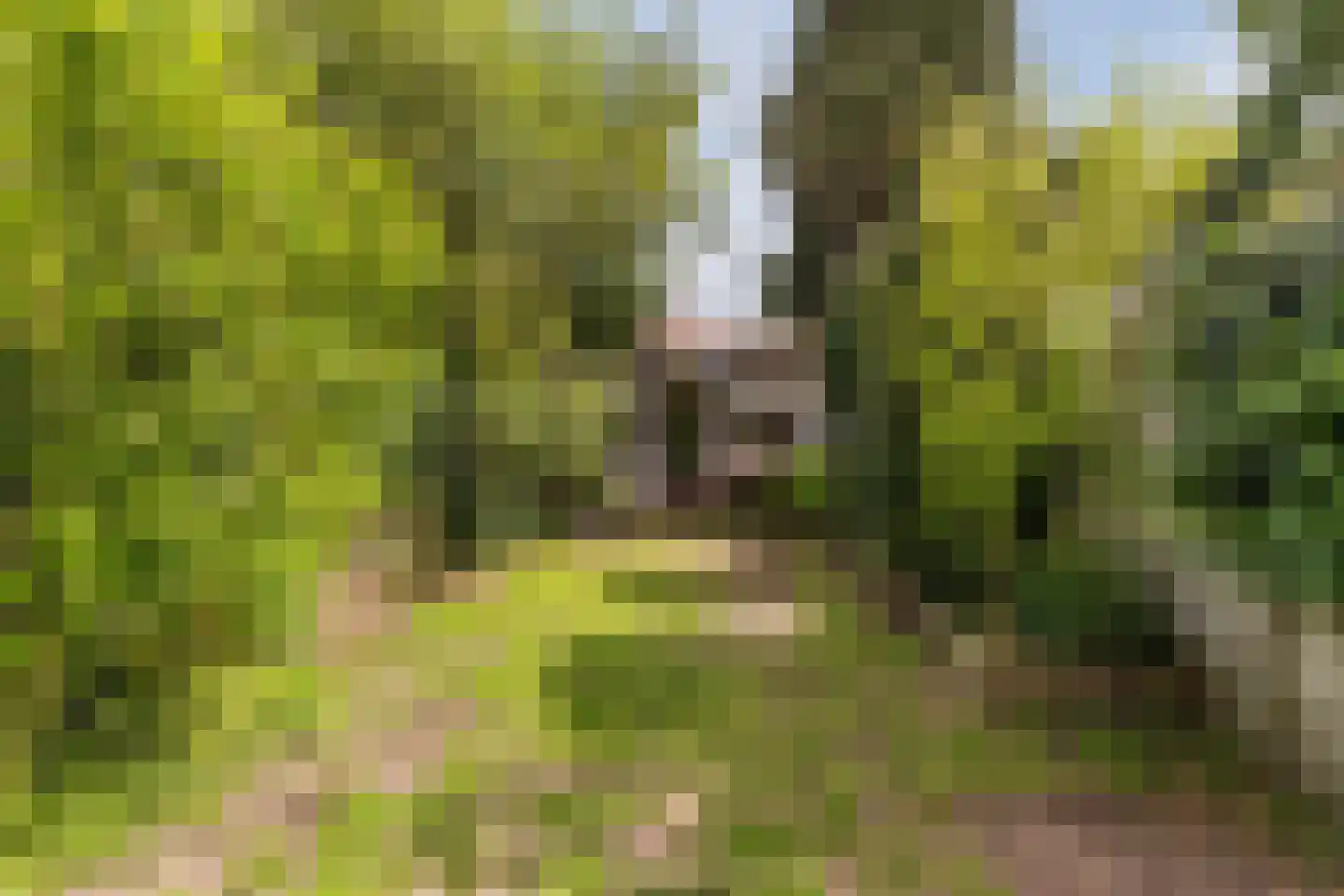 Sumatrastraat 24 Tilburg thumbnail 33