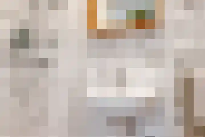 Sumatrastraat 27 Utrecht thumbnail 22