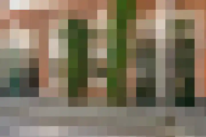 Sumatrastraat 27 Utrecht thumbnail 4