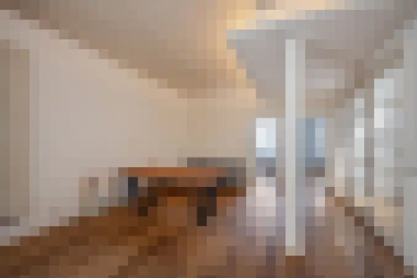 Sumatrastraat 271 Den Haag thumbnail 10