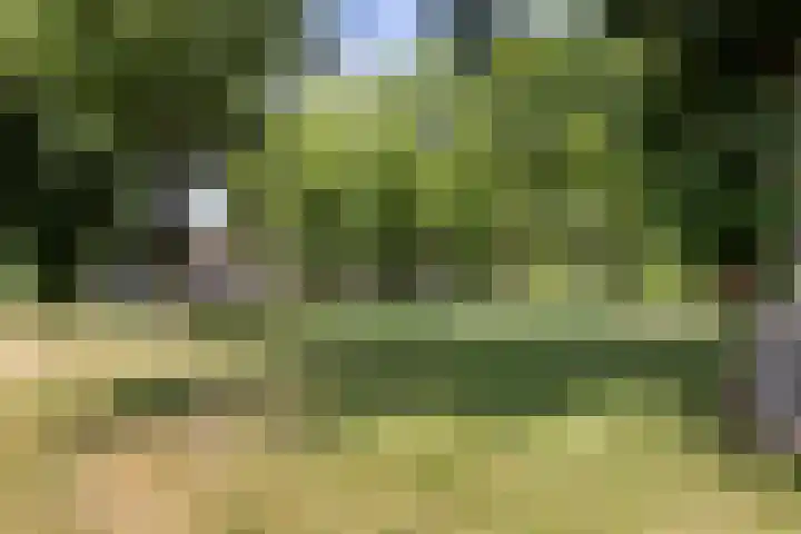 Sumatrastraat 3 Dordrecht thumbnail 25