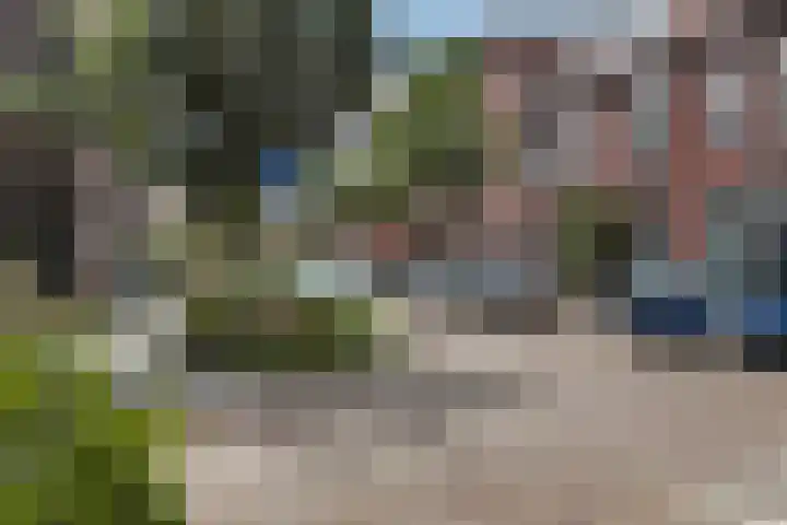 Sumatrastraat 3 Dordrecht thumbnail 4
