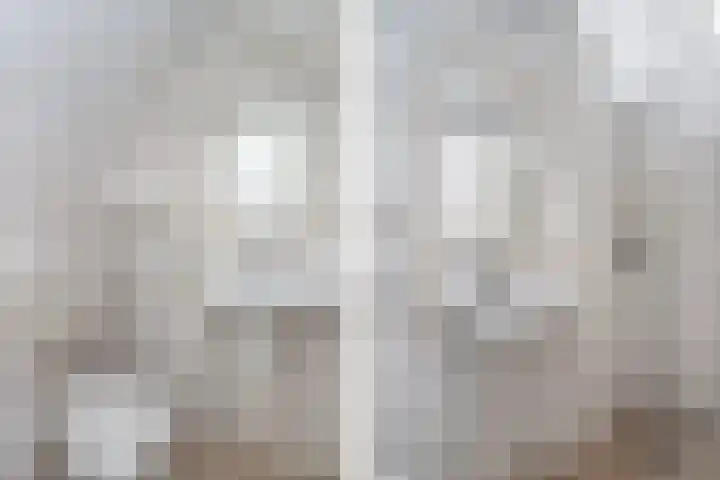 Sumatrastraat 3 Dordrecht thumbnail 6
