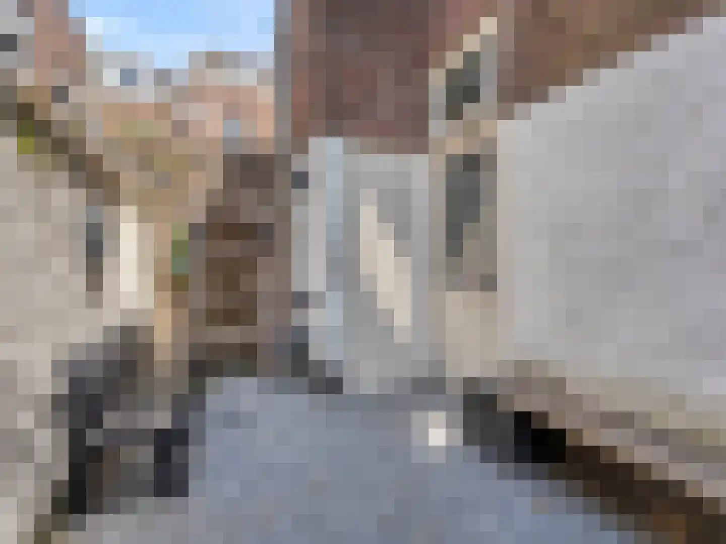 Sumatrastraat 3 Utrecht thumbnail 12