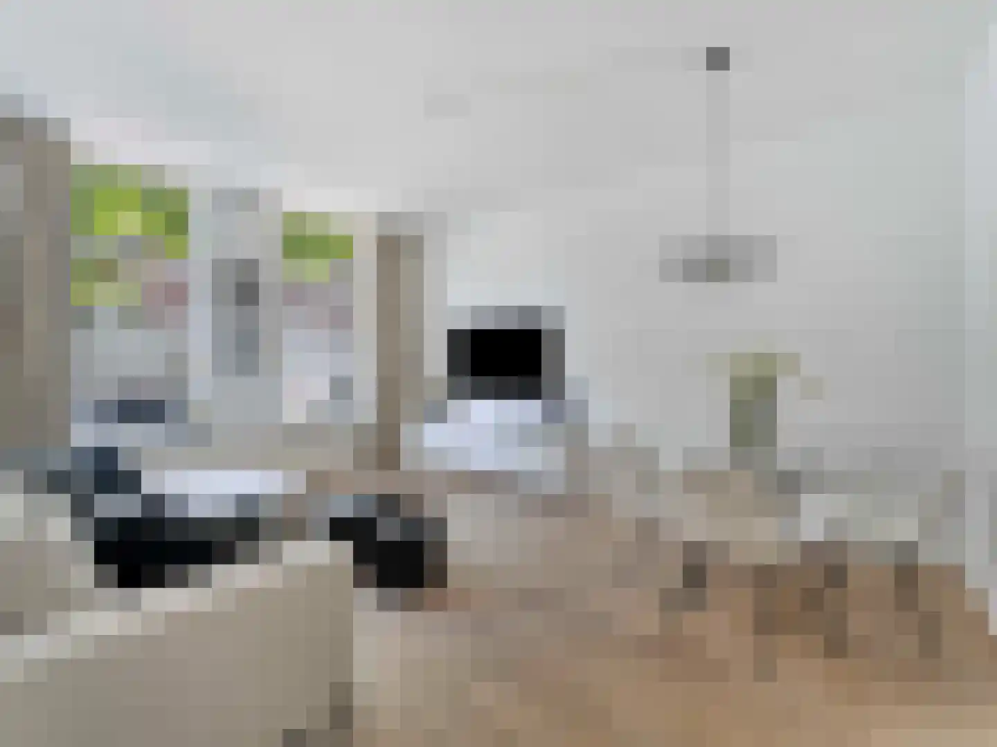 Sumatrastraat 3 Utrecht thumbnail 4