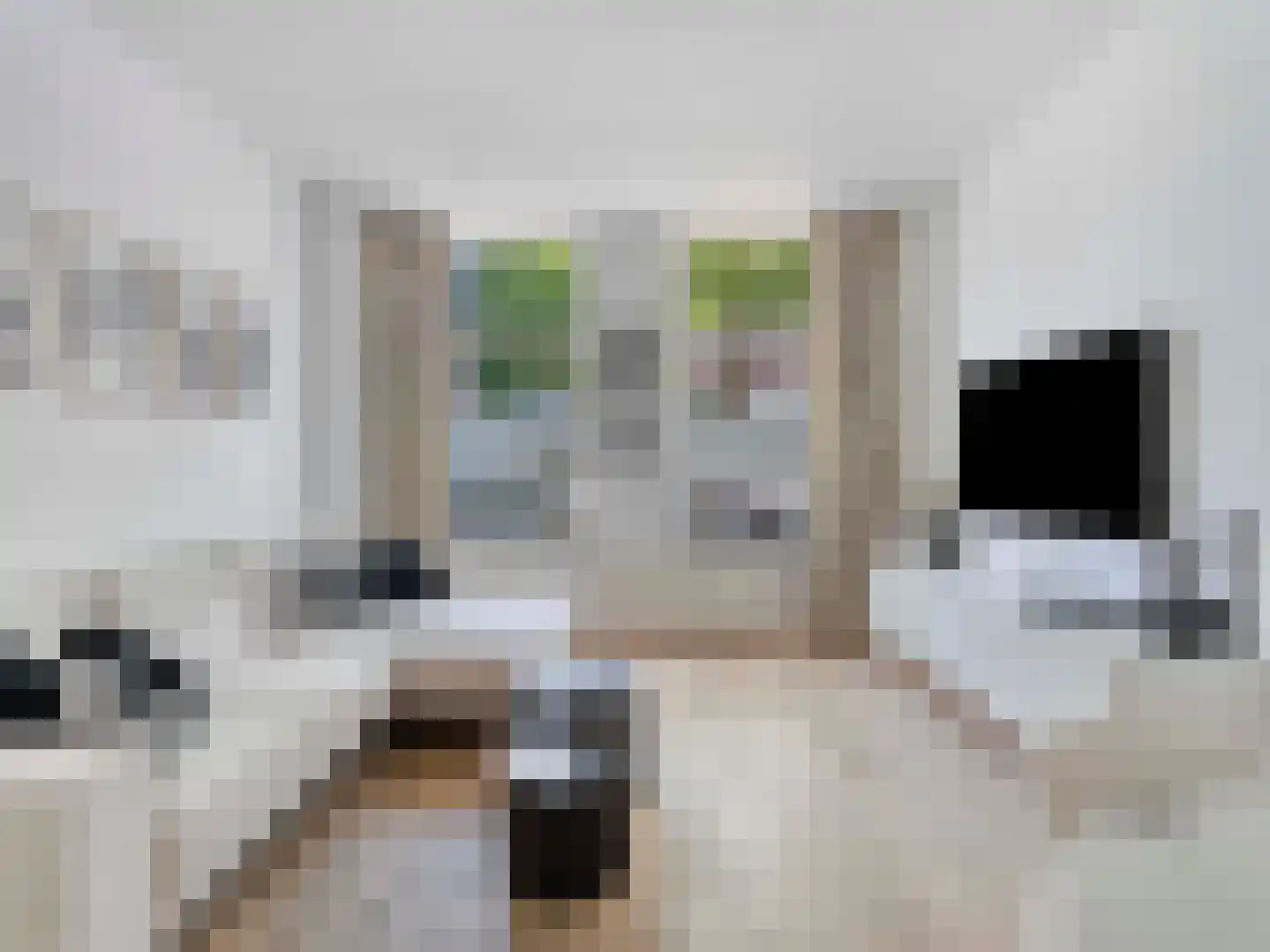 Sumatrastraat 3 Utrecht thumbnail 5