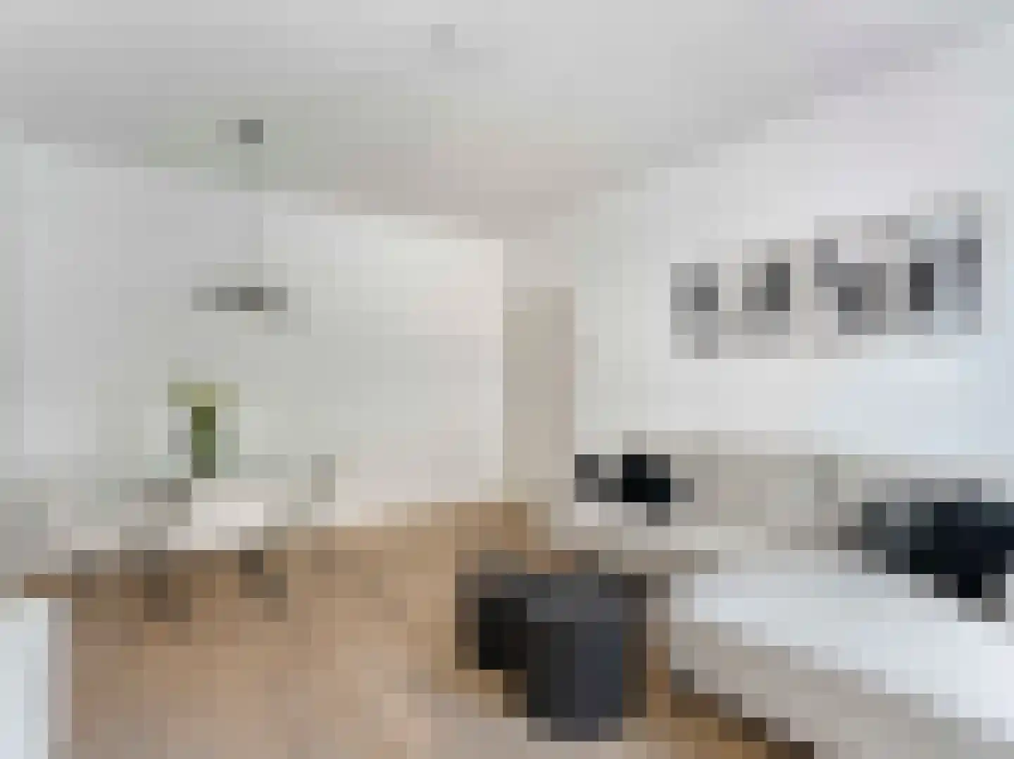 Sumatrastraat 3 Utrecht thumbnail 6