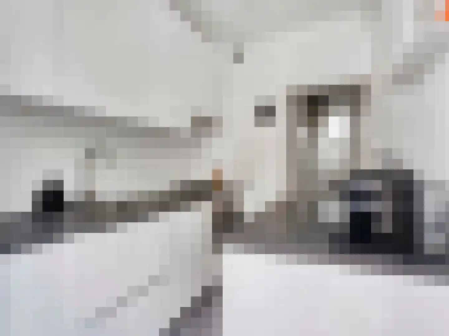 Sumatrastraat 3 Utrecht thumbnail 8