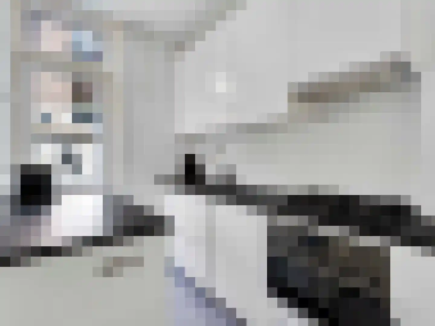 Sumatrastraat 3 Utrecht thumbnail 9