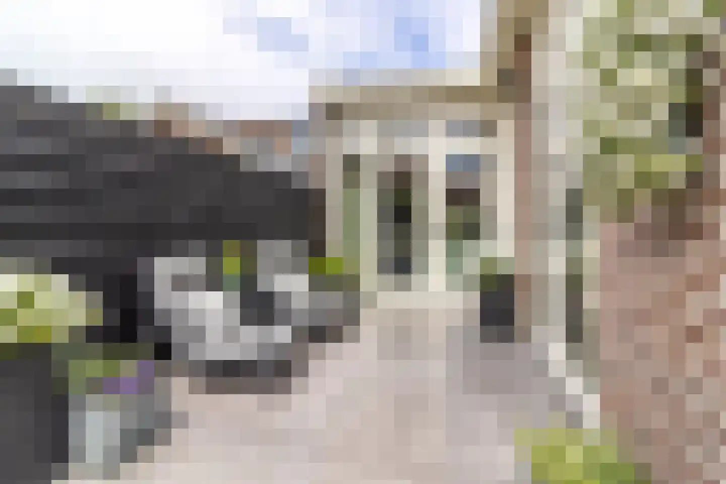 Sumatrastraat 30 Baarn thumbnail 22