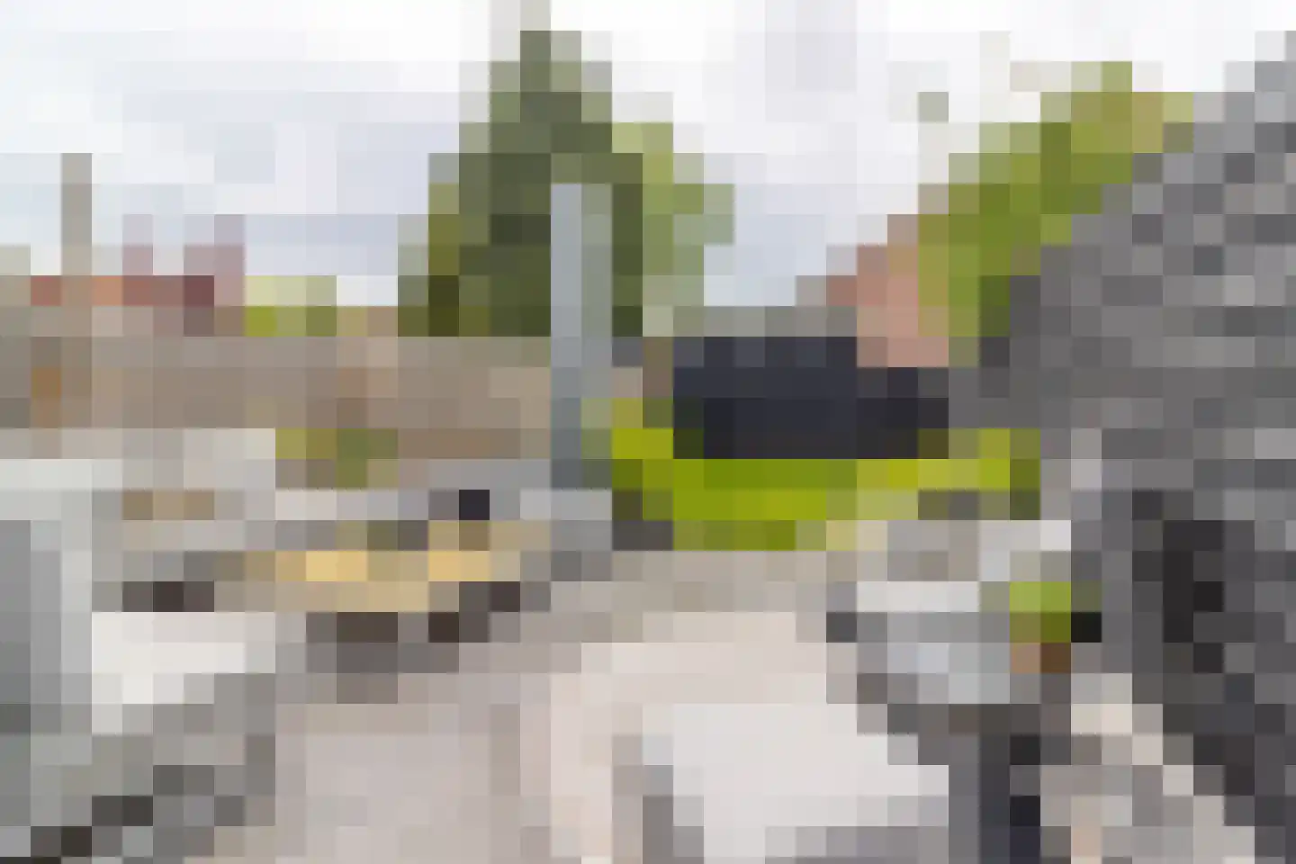 Sumatrastraat 30 Baarn thumbnail 23