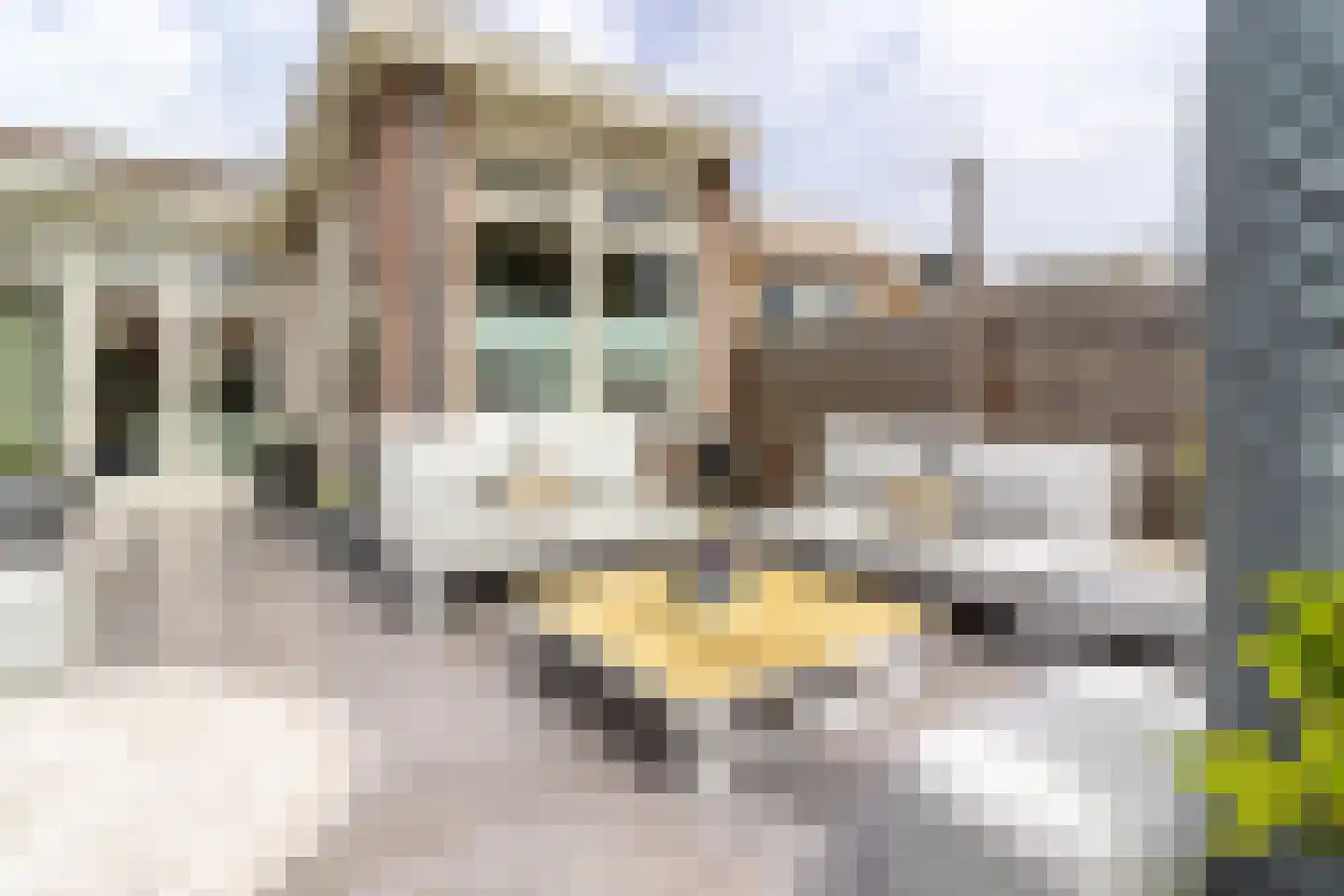 Sumatrastraat 30 Baarn thumbnail 24