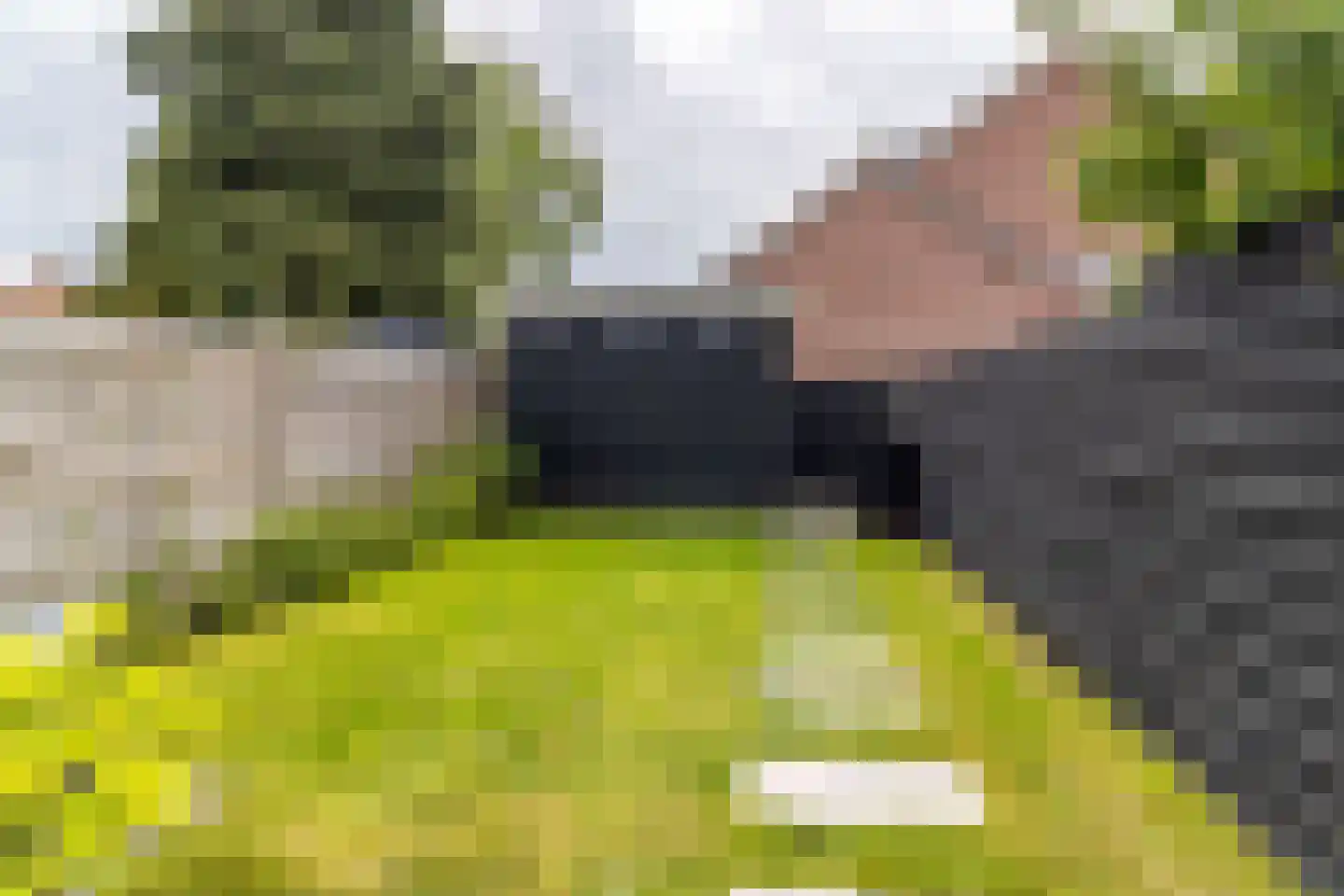 Sumatrastraat 30 Baarn thumbnail 25
