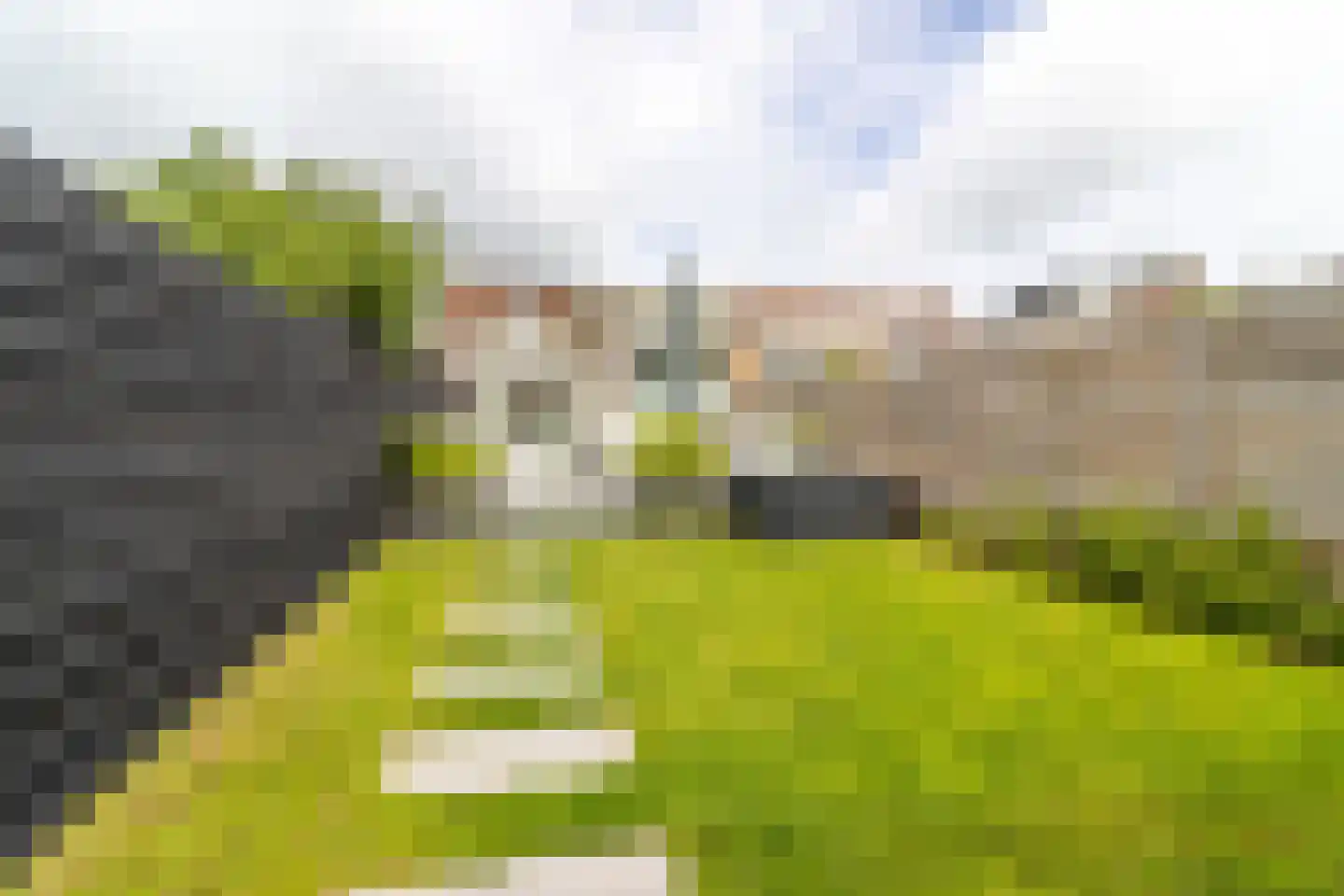 Sumatrastraat 30 Baarn thumbnail 26