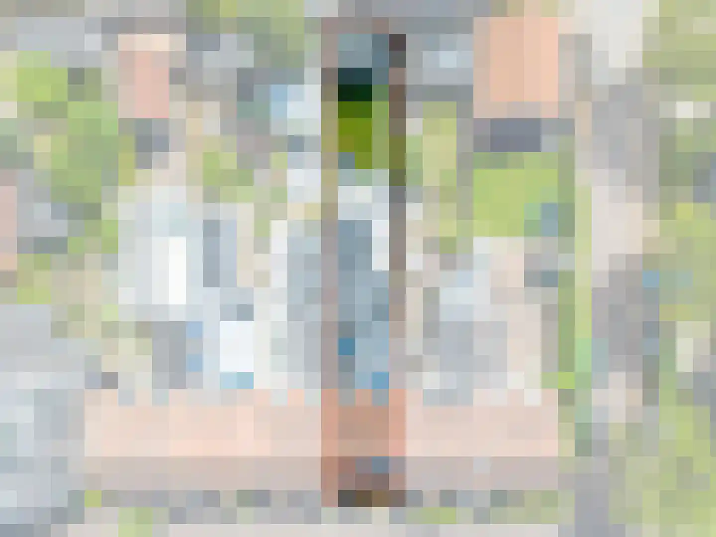 Sumatrastraat 30 Baarn thumbnail 27