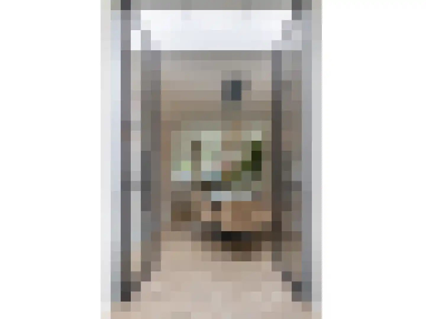 Sumatrastraat 30 Baarn thumbnail 6