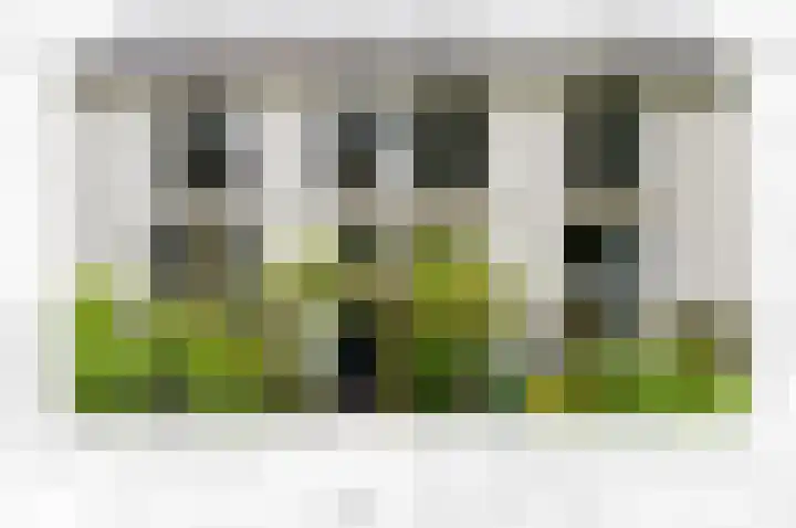 Sumatrastraat 302 in Den Haag