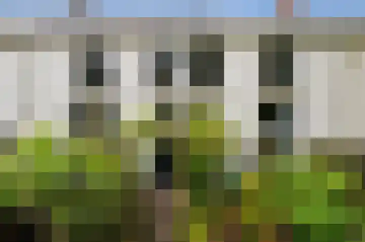 Sumatrastraat 302 Den Haag thumbnail 24