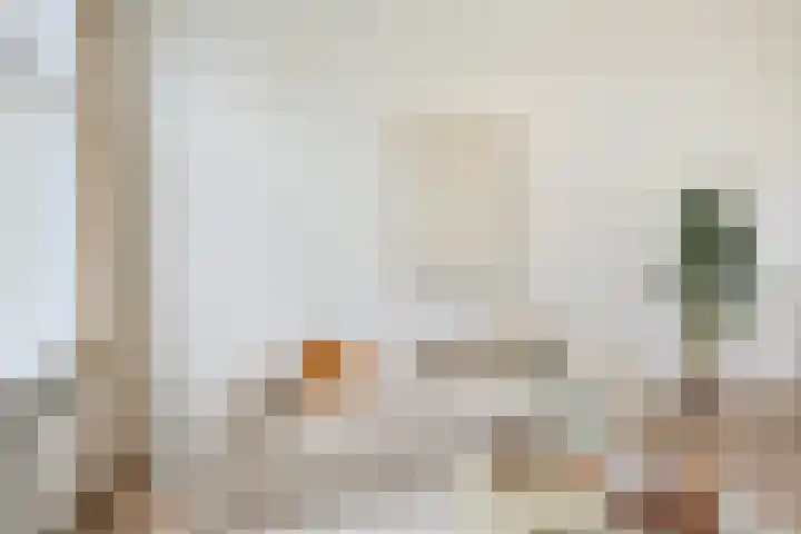 Sumatrastraat 31 BS Utrecht thumbnail 11