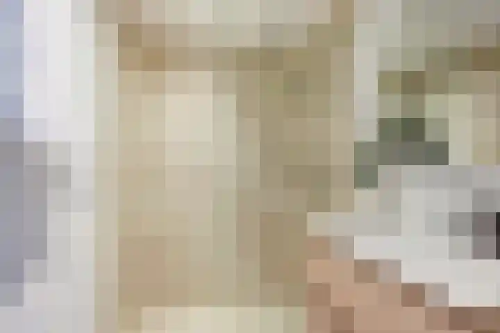 Sumatrastraat 31 BS Utrecht thumbnail 33
