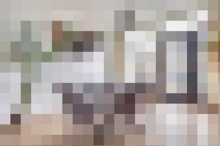 Sumatrastraat 33 's-Hertogenbosch thumbnail 10