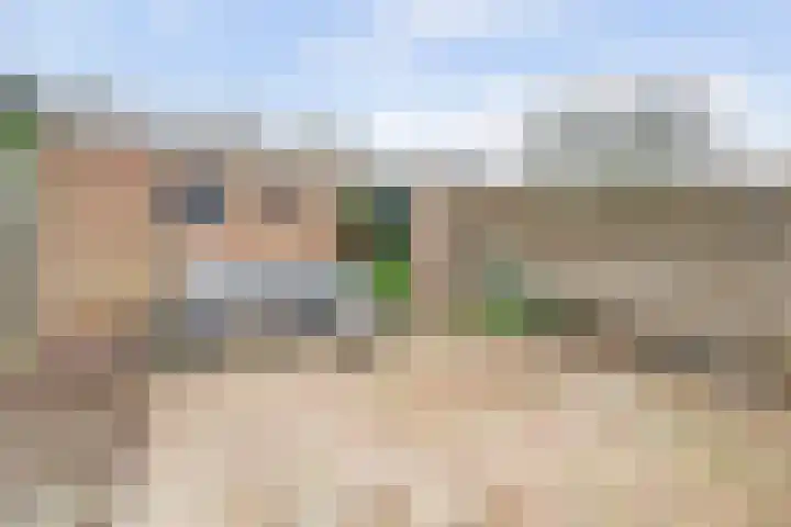 Sumatrastraat 33 's-Hertogenbosch thumbnail 26
