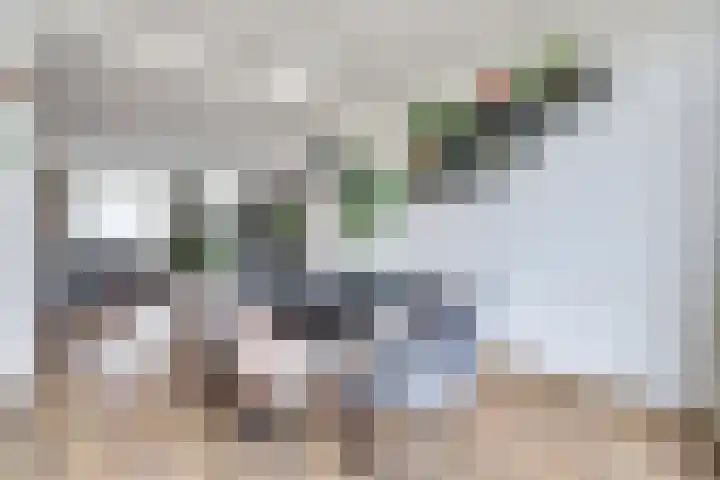 Sumatrastraat 33 's-Hertogenbosch thumbnail 9