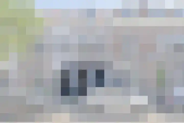 Sumatrastraat 34 Utrecht thumbnail 5
