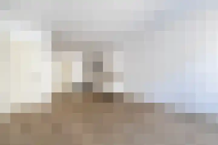 Sumatrastraat 34 Utrecht thumbnail 7