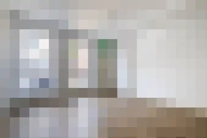 Sumatrastraat 34 Utrecht thumbnail 9