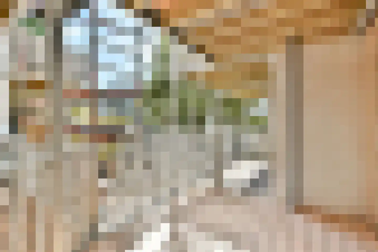 Sumatrastraat 35 C Amsterdam thumbnail 10