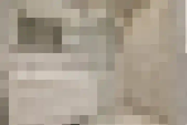 Sumatrastraat 35 D Amsterdam thumbnail 21