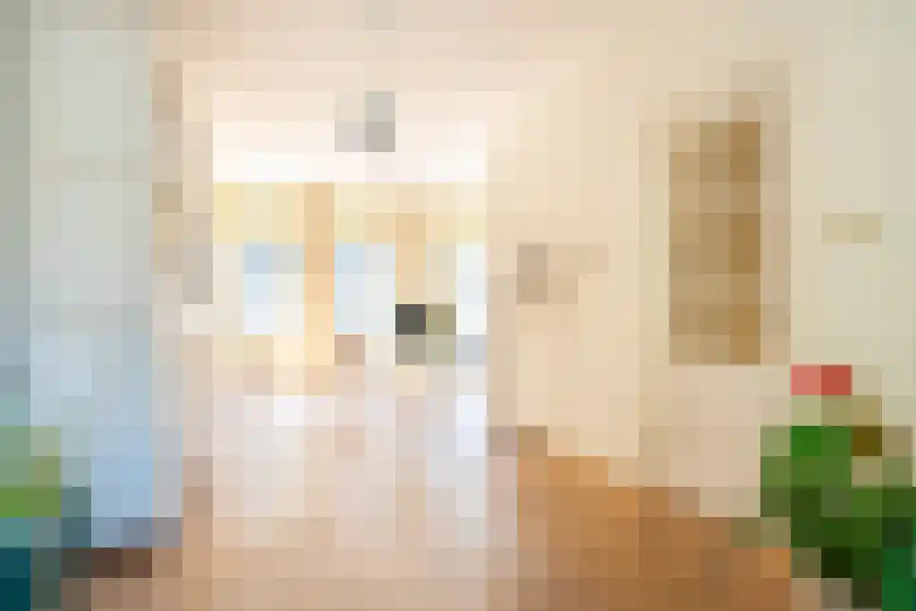Sumatrastraat 36 Den Haag thumbnail 4