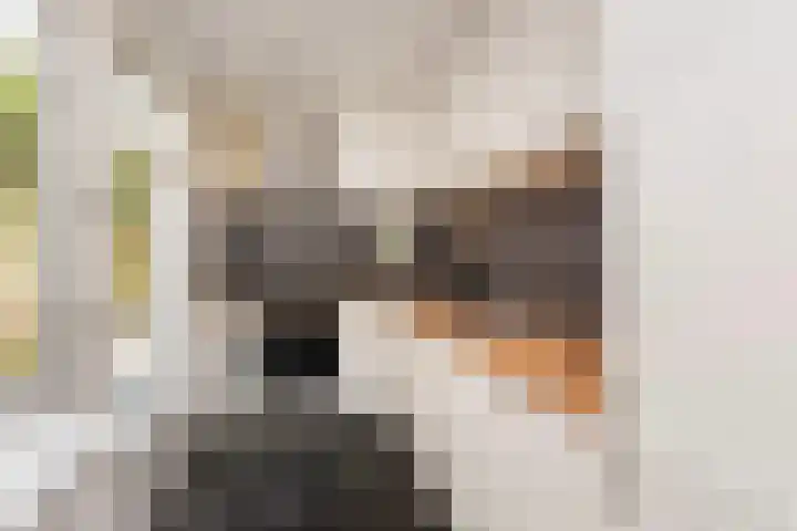 Sumatrastraat 36 Utrecht thumbnail 13