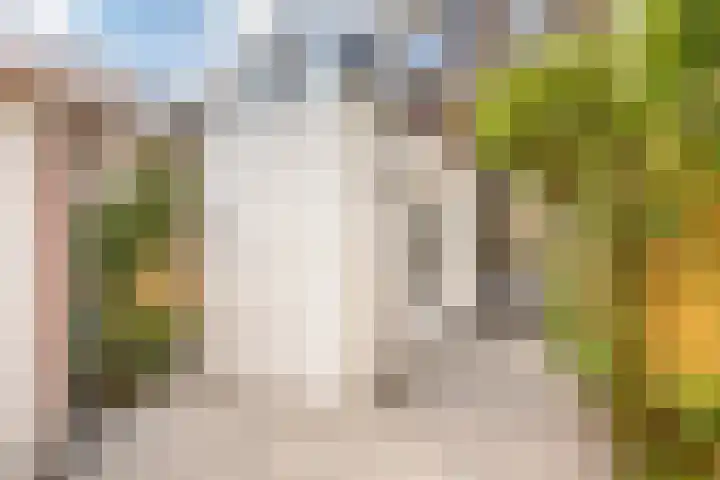 Sumatrastraat 36 Utrecht thumbnail 16