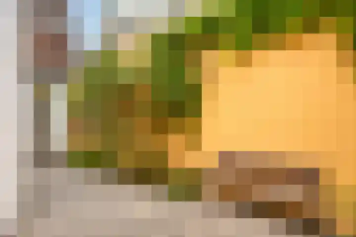 Sumatrastraat 36 Utrecht thumbnail 17