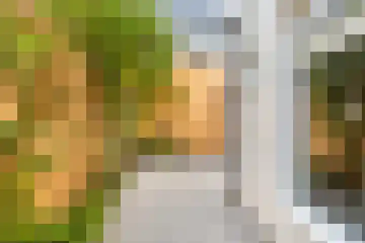 Sumatrastraat 36 Utrecht thumbnail 20