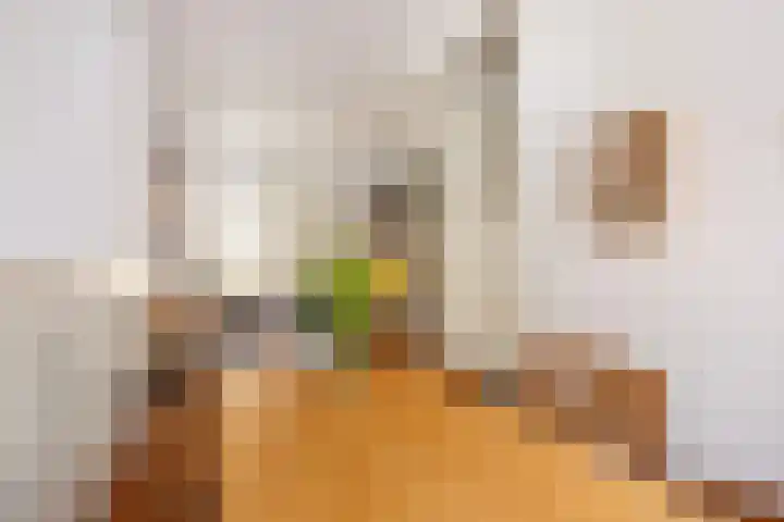 Sumatrastraat 36 Utrecht thumbnail 4